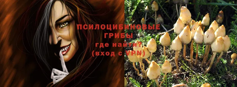 Галлюциногенные грибы Magic Shrooms  Рославль 